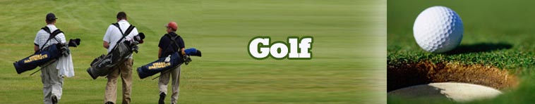 Complete Niche Golf Website