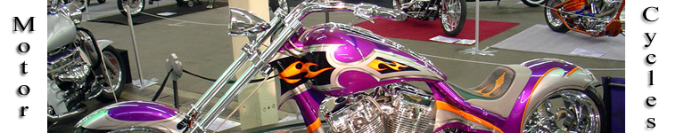 Complete Niche Motorcycles Website