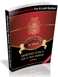 Gardening Secrets For A Lush Garden