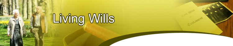 Living Wills Adsense Website