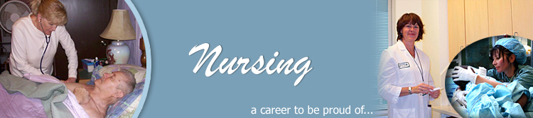 Nursing Career Niche Website