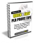 Edmund Loh's PLR Profit Tips