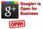 Google+ Business Blueprint