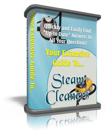 Steam Cleaners Boxed Niche