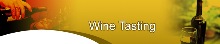 Wine Tasting Adsense Website
