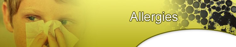 Adsense Website Allergies