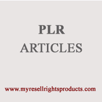 Blogging Income (PLR Articles)