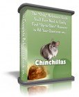 Chinchilla Boxed Niche