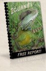Complete Iguana Survival Guide