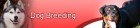 Dog Breeding Adsense Website