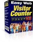 Easy Web Visitor Counter