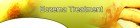 Eczema Treatment Adsense Website