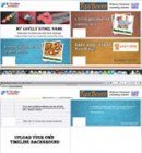 FB Timeline Express Software