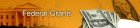 Federal Grant Adsense Website