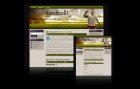 Football Blog Templates