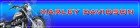 Harley Davidson Adsense Website