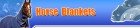 Horse Blankets Adsense Website