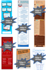 Infographic Bundle