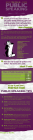 Infographic Megapack