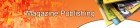 Magazine Publishing Adsense Website