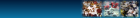 NFL Football Site