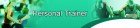 Personal Trainer Adsense Website