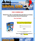 Internet Marketing Survival Guide