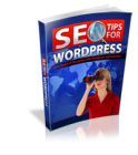 SEO For WordPress